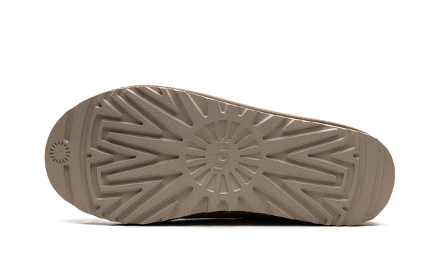 Tasman Slipper WMNS "Driftwood"