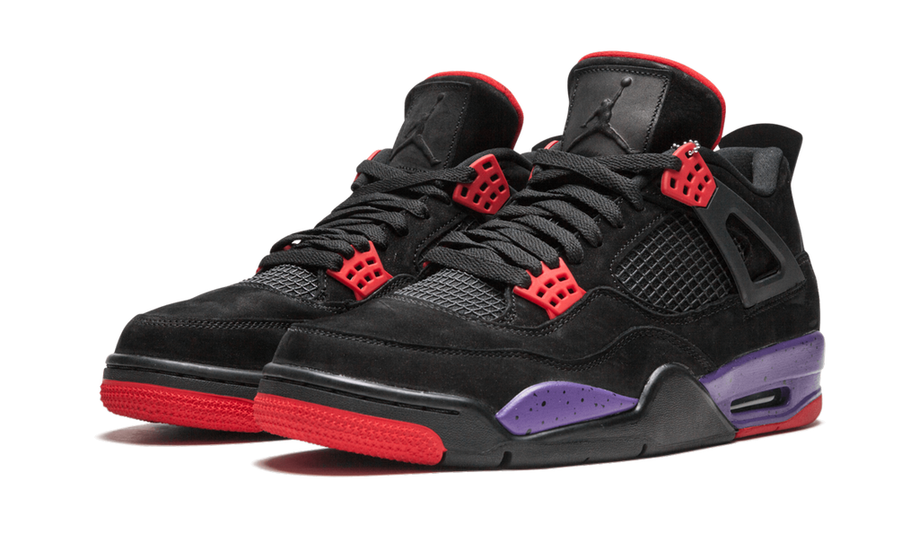 Air 4 Raptors