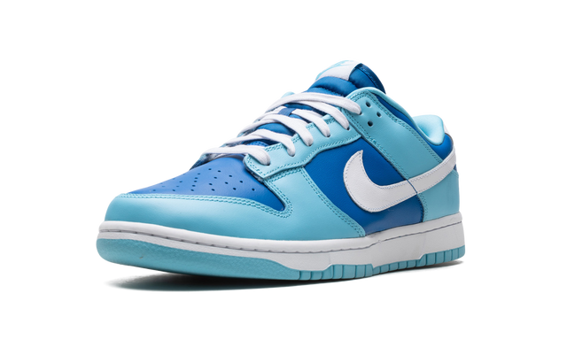 Dunk Low Retro Argon