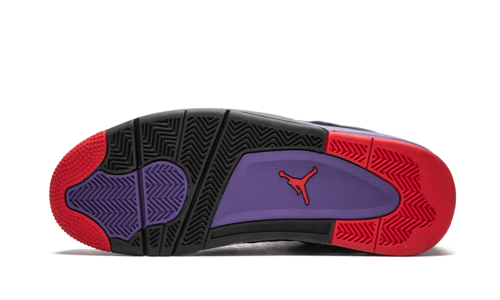 Air 4 Raptors